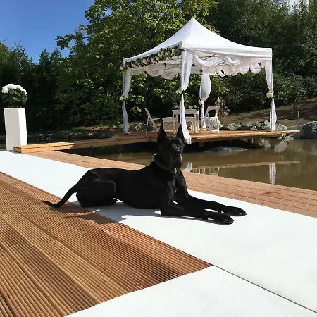 Luxusvilla Mit Pool Villa Kelkheim