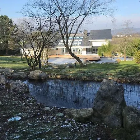 Luxusvilla Mit Pool Kelkheim